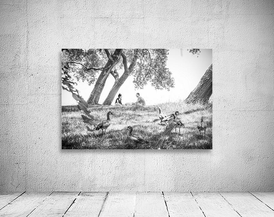 A Picnic Wall Preview