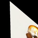 Skull Dripping Gold HD Metal print