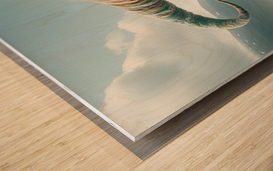 Threadosaurus Rex Wood print