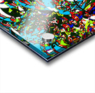 2p58t30 Acrylic print