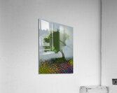 snap from strangeland Acrylic Print