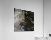 extinction Acrylic Print