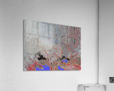 abt6 Acrylic Print
