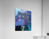 medusa1 Acrylic Print