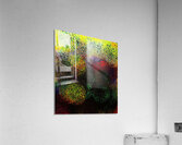 257 Acrylic Print