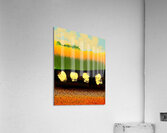 170 Acrylic Print