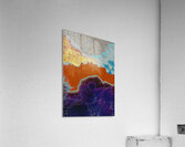 fishdood2 Acrylic Print
