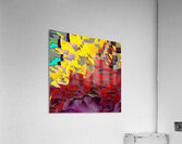 216 Acrylic Print