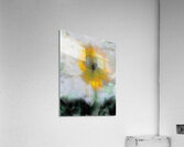 2p53 Acrylic Print