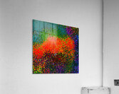 G Acrylic Print