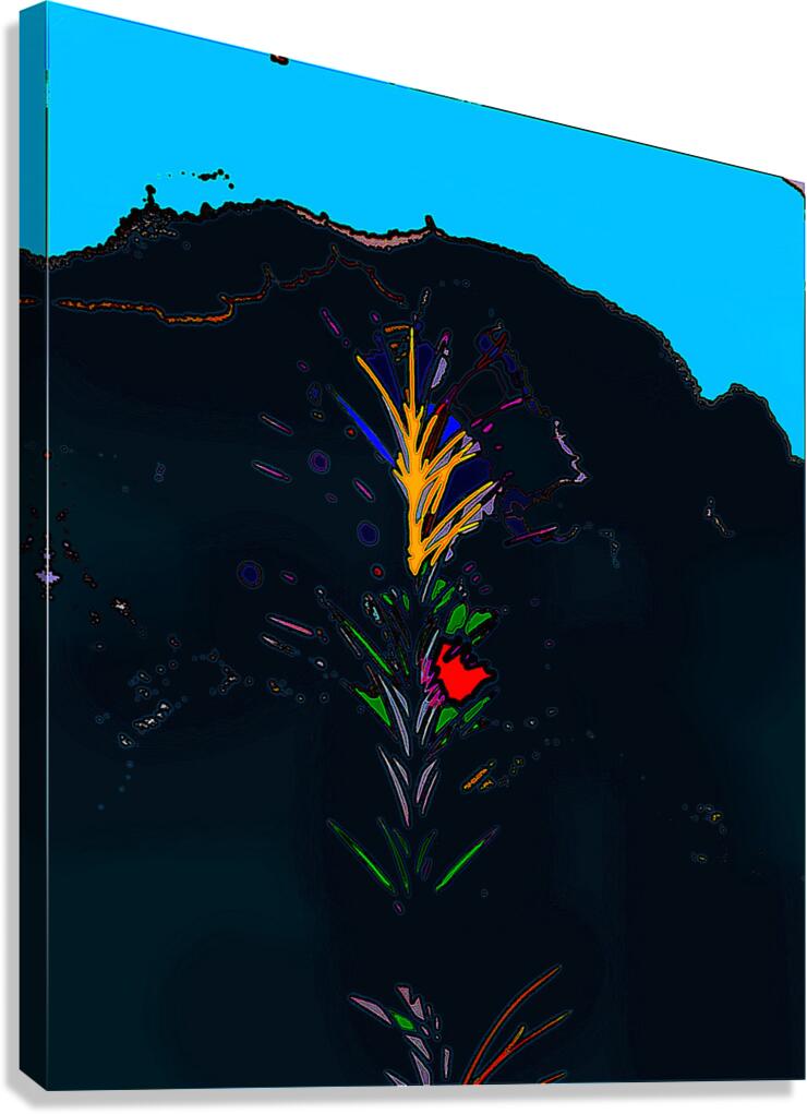 it2a7 Canvas Print