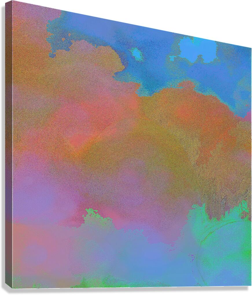 2p11 Canvas Print