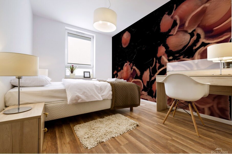 hazel shells Mural print