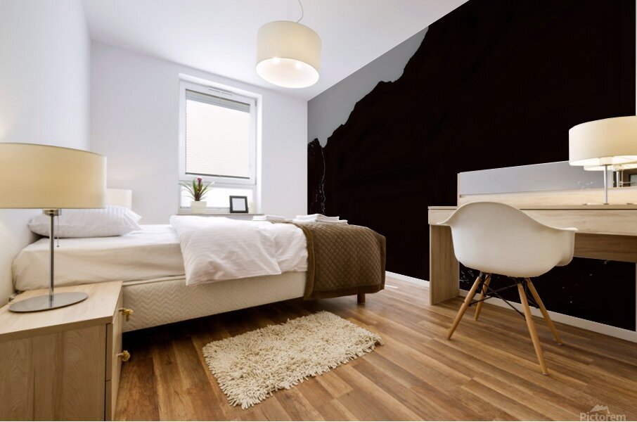 black canyon  Mural print