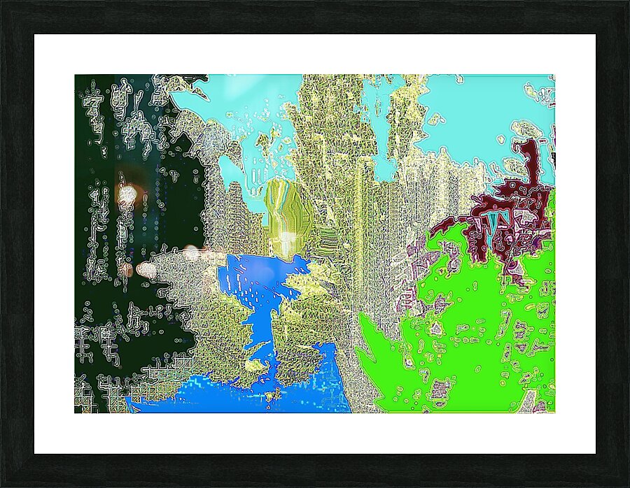 qs20 Picture Frame print