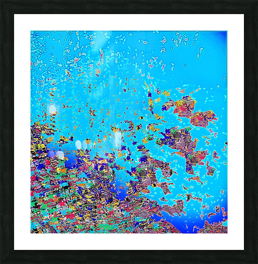 flowerpond3  Picture Frame print