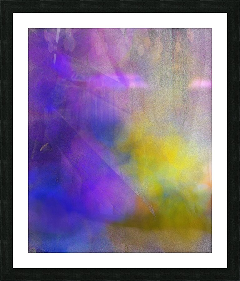231 Picture Frame print
