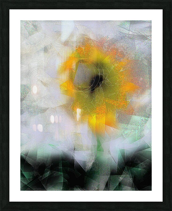2p53 Picture Frame print
