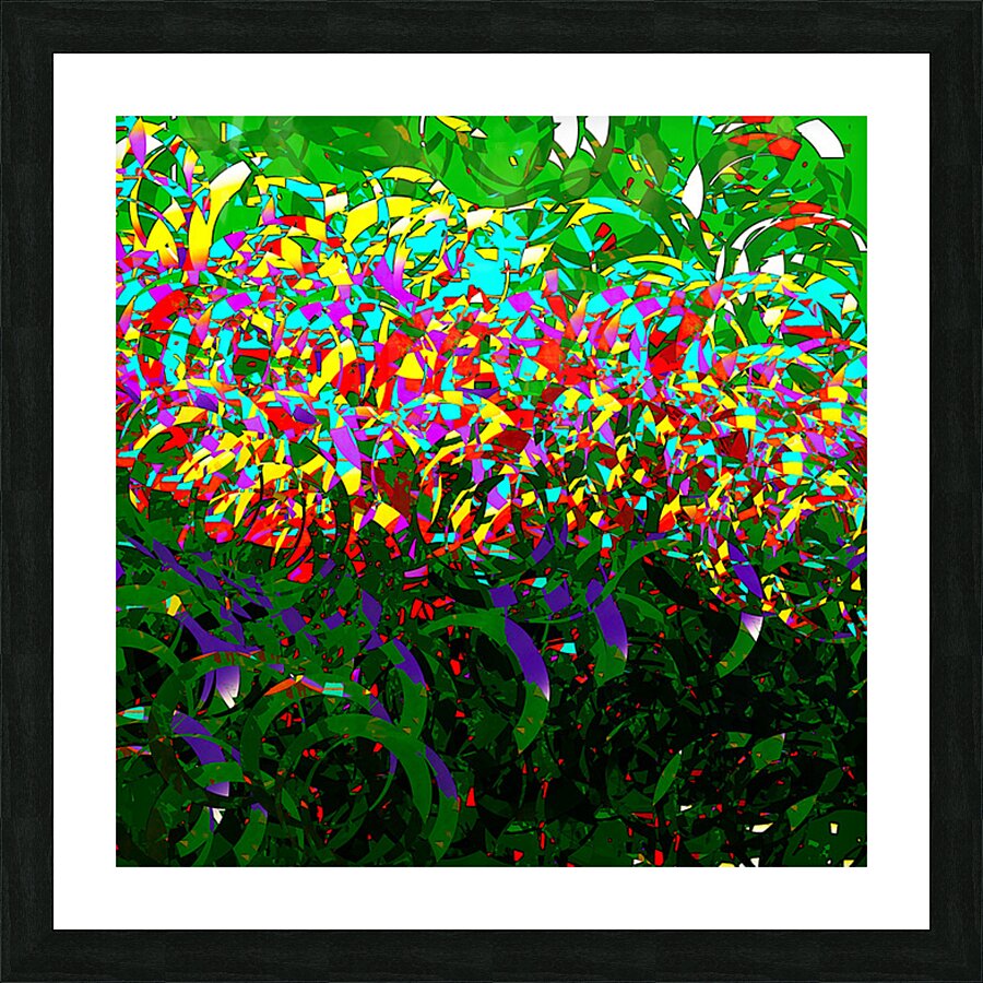 2p57 Picture Frame print