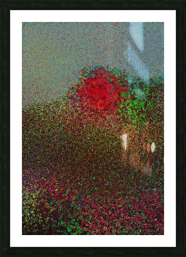 2p42 Picture Frame print