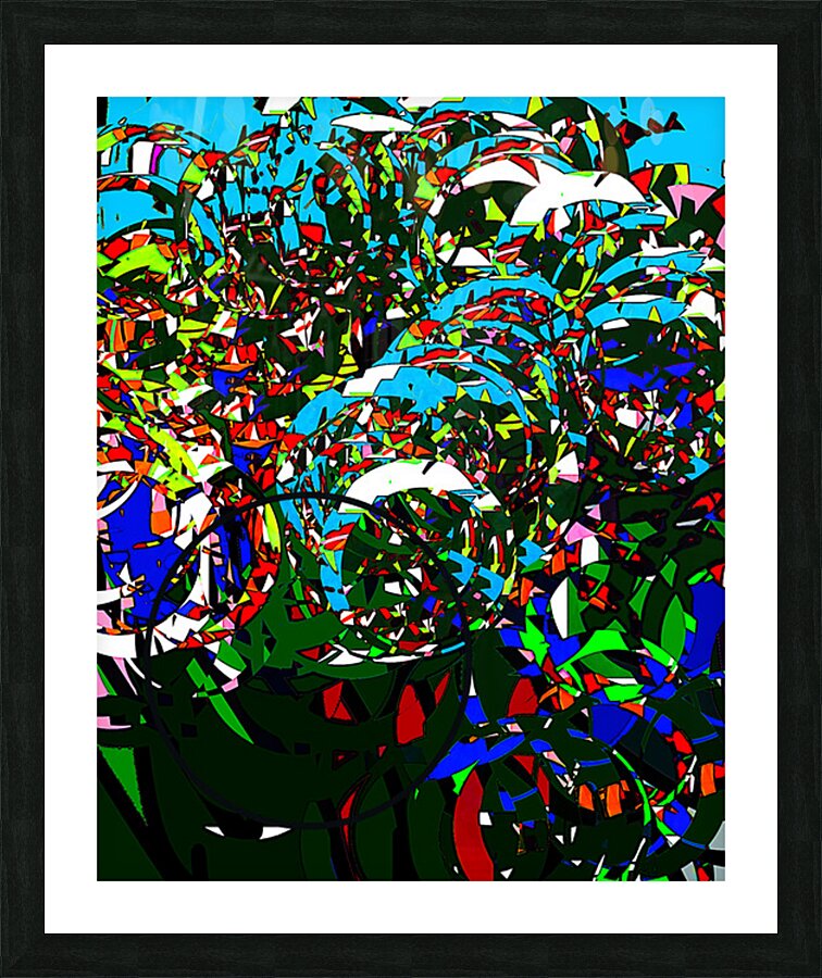 2p58t30 Picture Frame print
