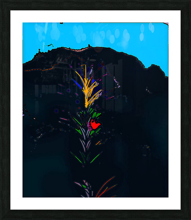 it2a7 Picture Frame print