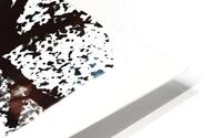 black forest HD Metal print