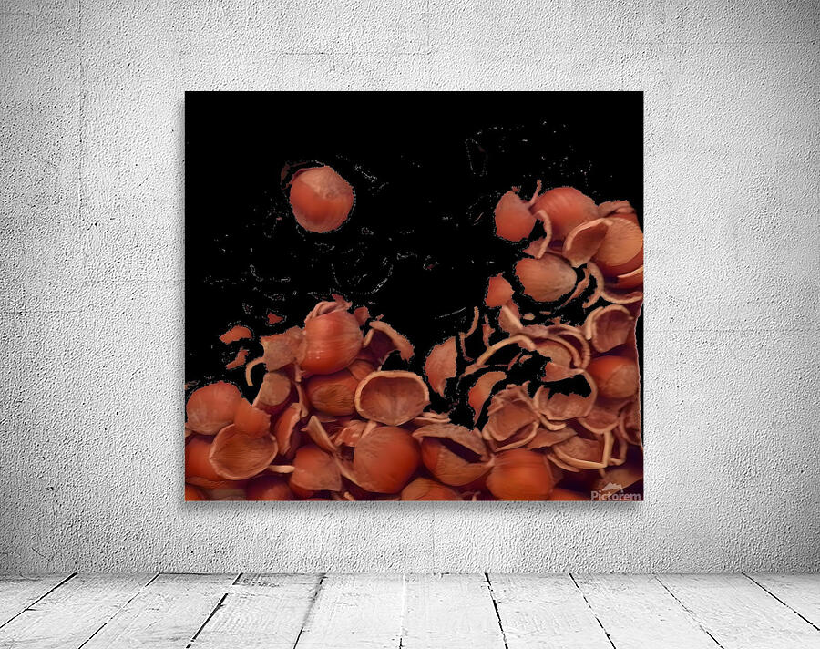 hazel shells Wall Preview