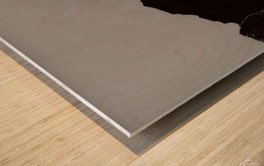 black canyon  Wood print