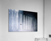 Waterfall Cormorant Acrylic Print