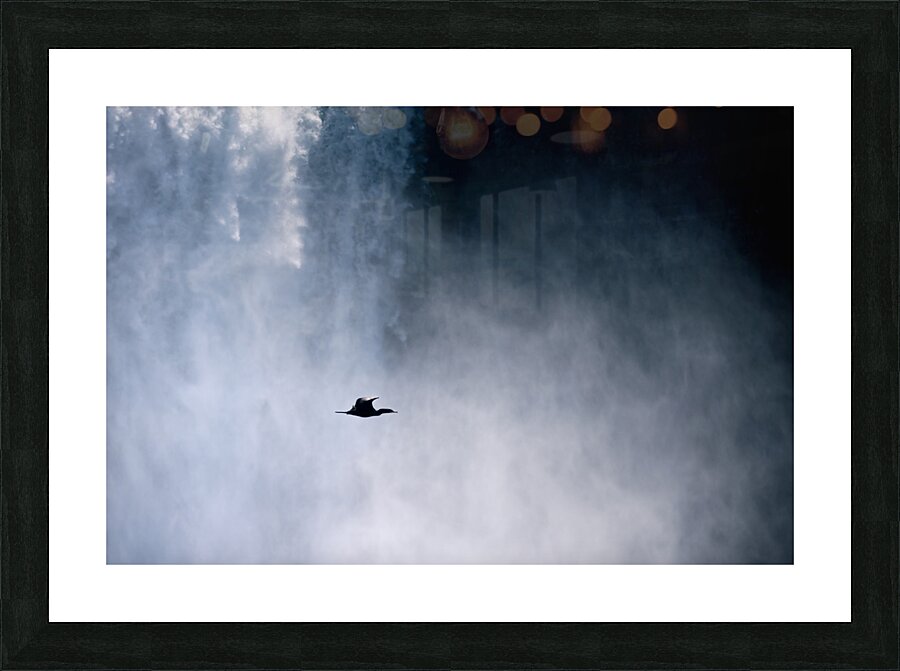 Waterfall Cormorant Picture Frame print