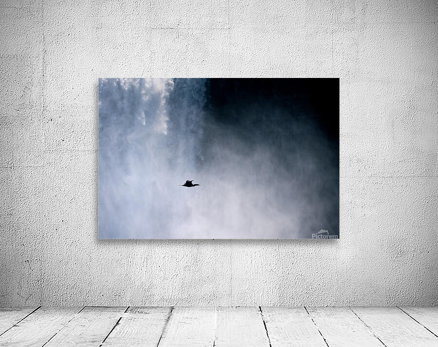 Waterfall Cormorant Wall Preview