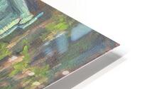 LakeCahoonFishStation HD Metal print