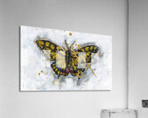 Expressions Acrylic Print