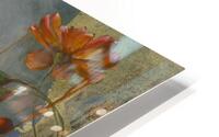 Summer Transitions I HD Metal print