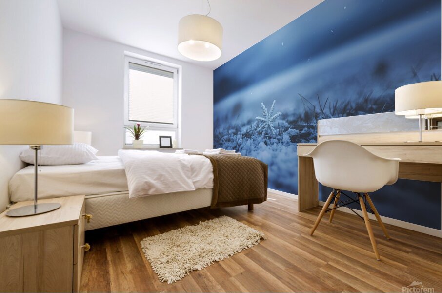 Blue winter snow background Mural print