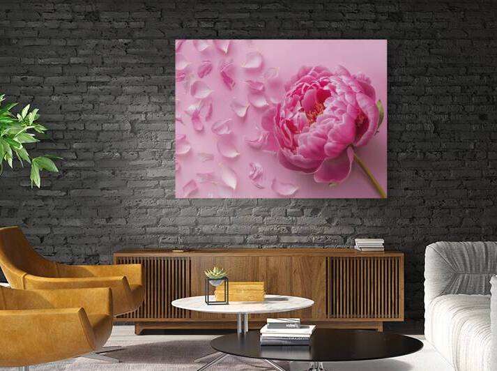 pink peony flower and scattered petals on a pink  1722613908.5689 by Iremia Tudor