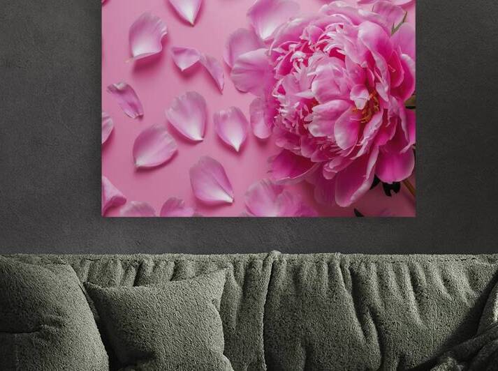 pink peony flower and scattered petals on a pink  1722613903.2882 by Iremia Tudor