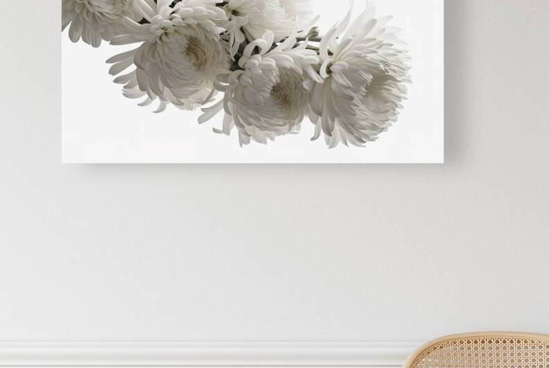 branch of white chrysanthemum flowers on a white  1722613896.0624 by Iremia Tudor