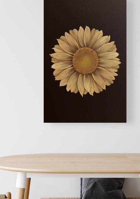 beautiful sunflower isolated on a black backgroun by Iremia Tudor