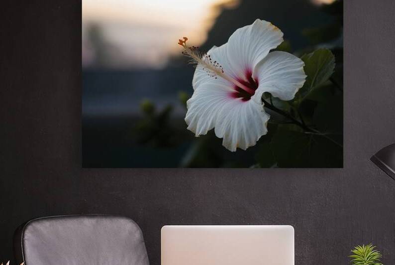 Hawaiian hibiscus in backlit light translucent wh 1722613909.0743 by Iremia Tudor