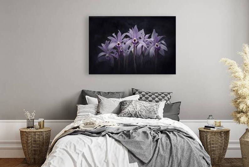 Group of pastel purple Orchid flowers in dark bac 1722613909.0859 by Iremia Tudor