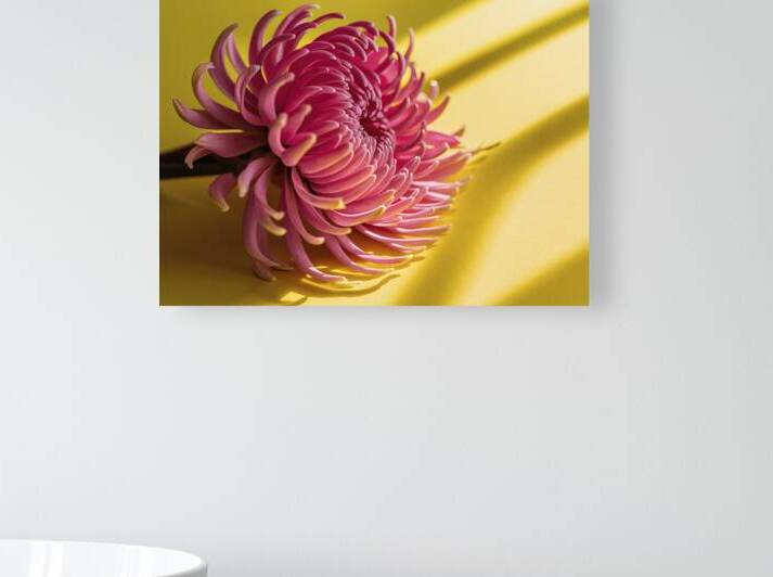 Branches of a pink flower of Billbergia on a yell by Iremia Tudor