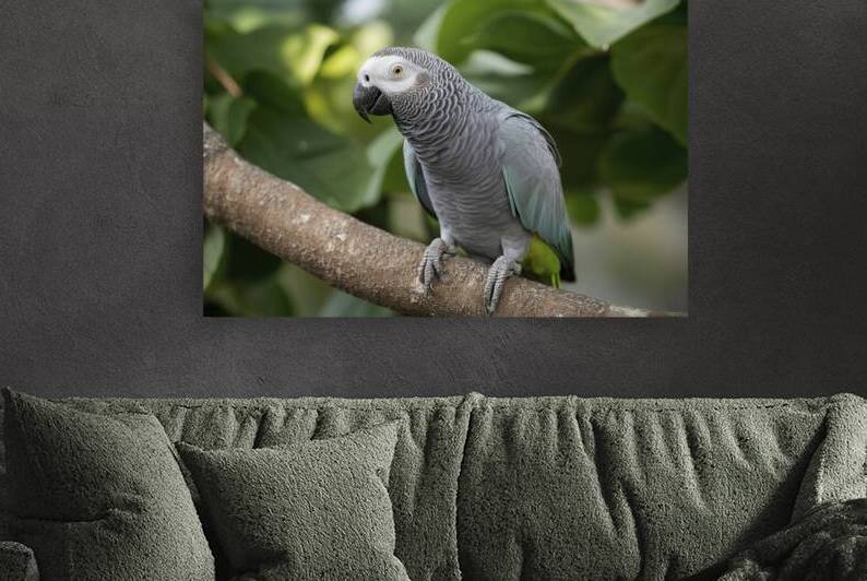 close up a single beautiful african grey parrot p 1722614312.167 by Iremia Tudor