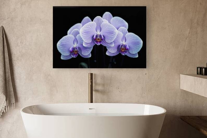 Group of pastel purple Orchid flowers in dark bac 1722614302.9612 by Iremia Tudor
