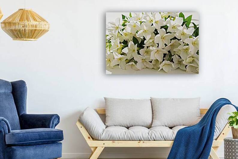 Bunch of white jasmine aromatic flowers by Iremia Tudor