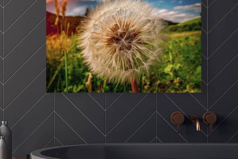 Fluffy dandelion flower against the background of by Iremia Tudor