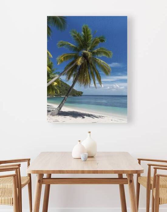 Palm tree on the tropical beachwith a beautiful s by Iremia Tudor