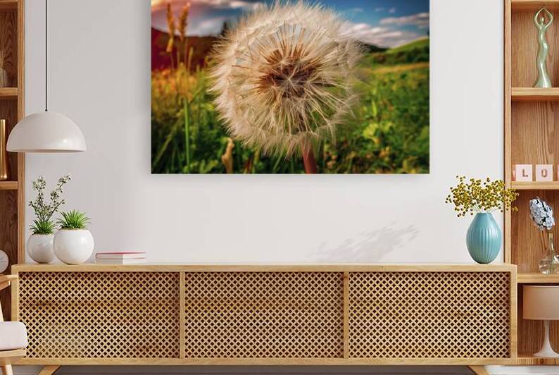 Fluffy dandelion flower against the background of by Iremia Tudor