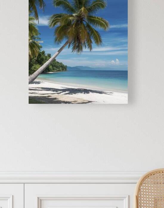 Palm tree on the tropical beachwith a beautiful s 1722616109.2147 by Iremia Tudor